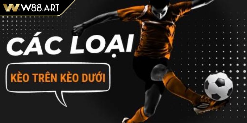 Nhìn thấu bảng tỷ lệ kèo trên dưới W88